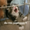 aku mau pegangggg III