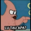 LU TAU APA?