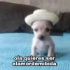 ola quieres ser
elamordemibida