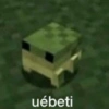 MEMES ALEATÓRIOS 7