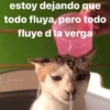 estoy dejando que
todo fluya, pero todo
fluye d la verga
@memasting