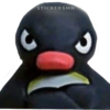 Pingu 🐧 16