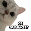 OE QUE HACES?