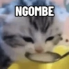 NGOMBE