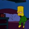 20 4