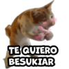 TE QUIERO BESUKIAR