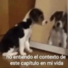 no entiendo el contexto de
este capítulo en mi vida