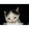Abrázame invesil
