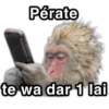 @paraguayita_01 Pérate te wa dar 1 lai