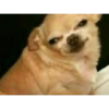 Reaction pics 14