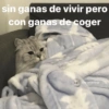 sin ganas de vivir pero
con ganas de coger
@memasting