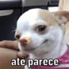 ate parece