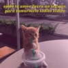 ojalá tu amor fuera un juguito,
para tomarmelo todito todito