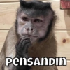 PensANDIN