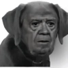 😃Memes Random🤣 12