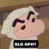 BLG APH?