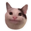 Meme Expressions 12