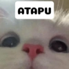 ATAPU