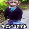 A ESTUDIAR