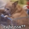 Sou eu na vida  5