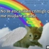 Aesthetic rosa que
veo en pinterest
No se encariñen cnmigo q
me mudare al cielo
1