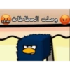 Shitpost arabe 17