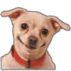 🚫Memes que no viste6🚫 18