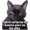 🚫Memes que no viste6🚫 14