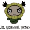 Pucca 11