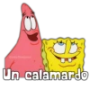 Mira Bob y Patricio 26