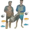 Bom dia boa noite boa tarde 15