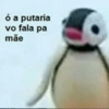 Pingu 28