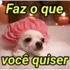 Animais fofos 333💗 14
