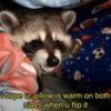 🐼🗑🦝 Raccoons l 🦝 🗑 🐼  20