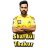 Chennai Super Kings (IPL) 22