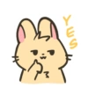 Spidi the bunny 24