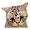Gatos 30