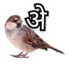 Marathi Meme 11