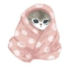 Gatitos <33 14