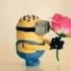 Minions 10