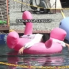 Gose TTT Water Sport 1 5