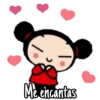 Pucca 10