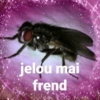 jelou mai
frend