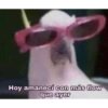 Para contestar 16