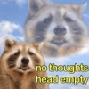 🐼🗑🦝 Raccoons l 🦝 🗑 🐼  18
