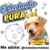 StickerAdoption  21