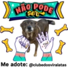 StickerAdoption  23
