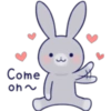 Lovely rabbit 6