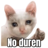 Gatos sad 2 27