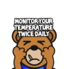 Defrag bear 12